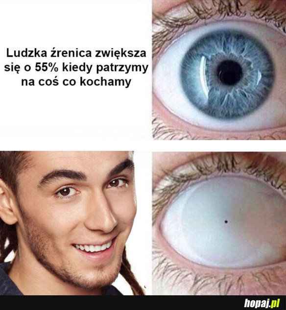 LUDZKIE OKO