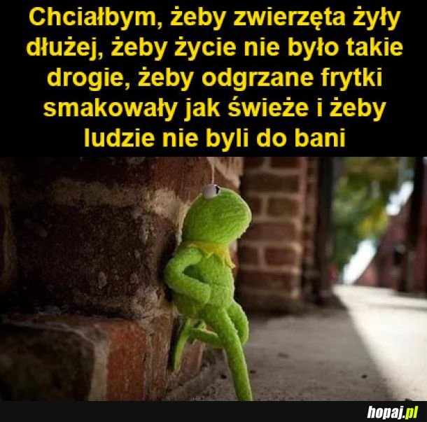 Tego chcę