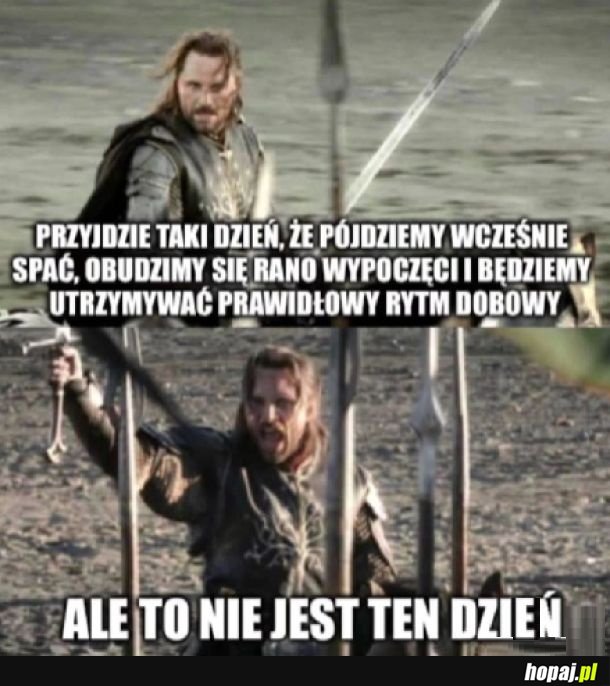 Niestety