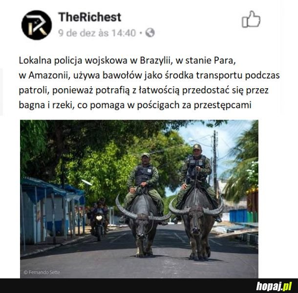 Tak to można patrolować!