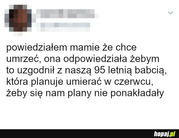 Plany 