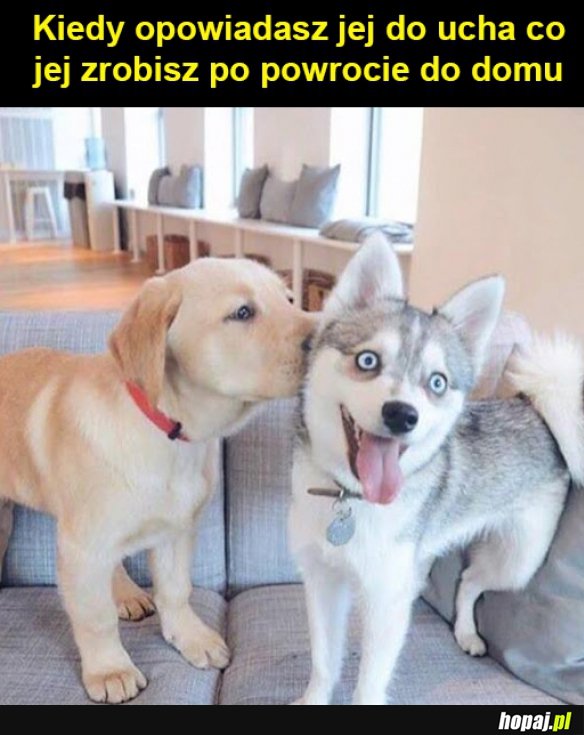 Co jej zrobisz po powrocie...