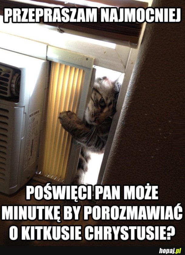 PRZEPRASZAM NAJMOCNIEJ