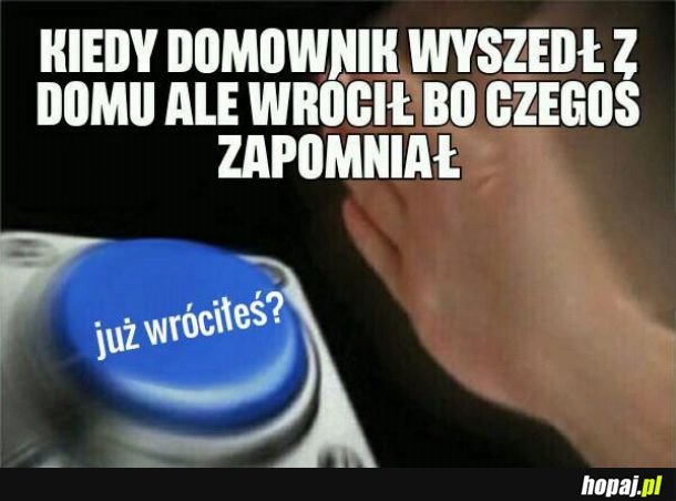  Kiedy czegoś zapomnisz 