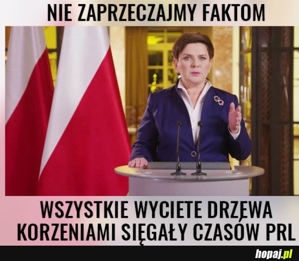 BARDZO WAŻNY KOMUNIKAT W SPRAWIE WYCINKI DRZEW