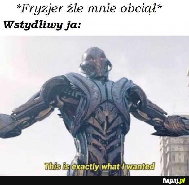 U fryzjera