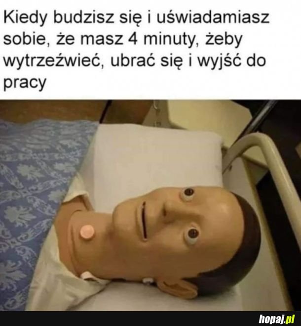 Koniec tego dobrego