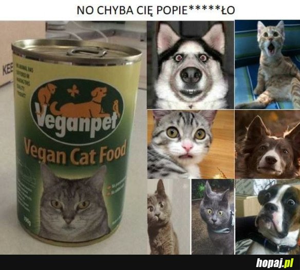 CHYBA KTOŚ TU ZWARIOWAŁ