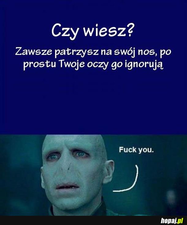 Ciekawostka