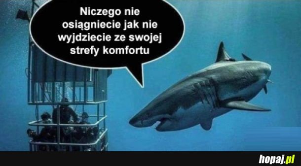 Strefa komfortu