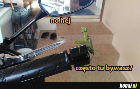 NO HEJ