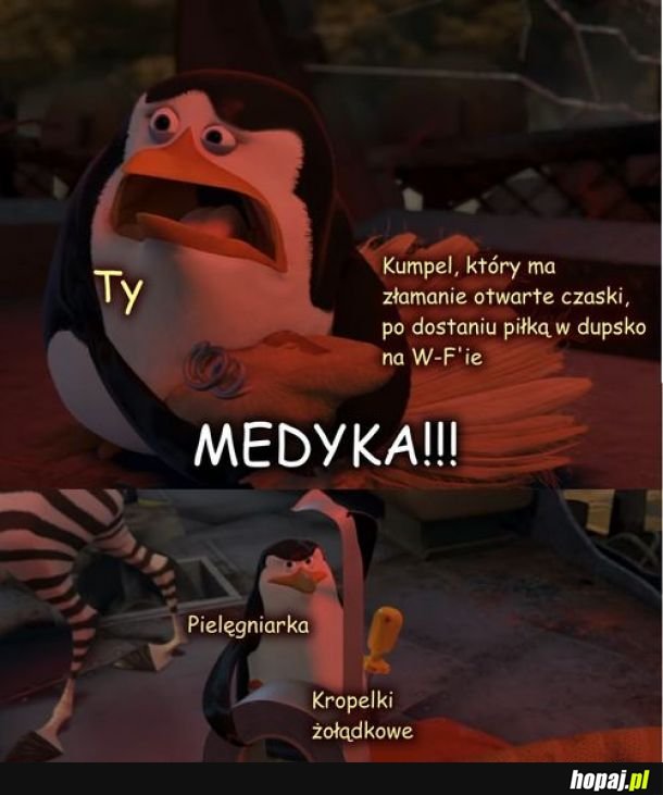 Pielęgniarka