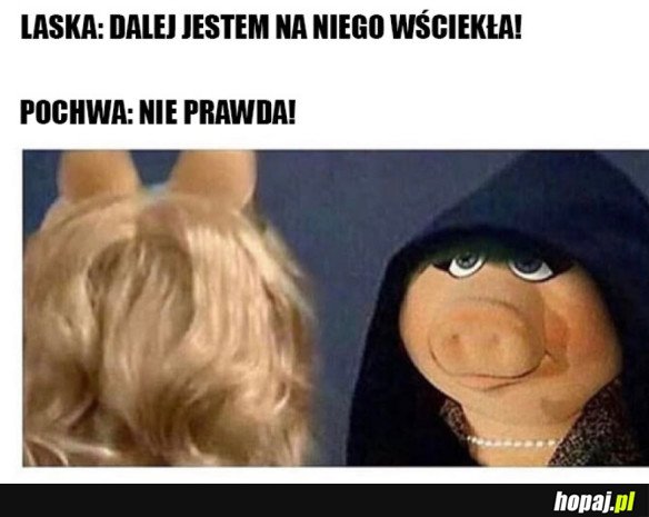 LASKI TAKIE SĄ