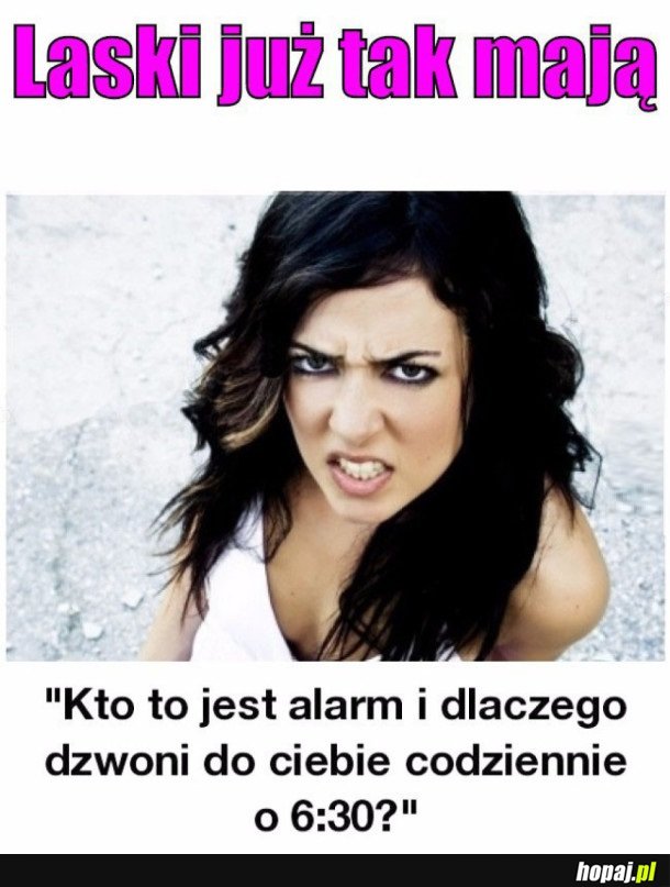 LOGIKA LASEK
