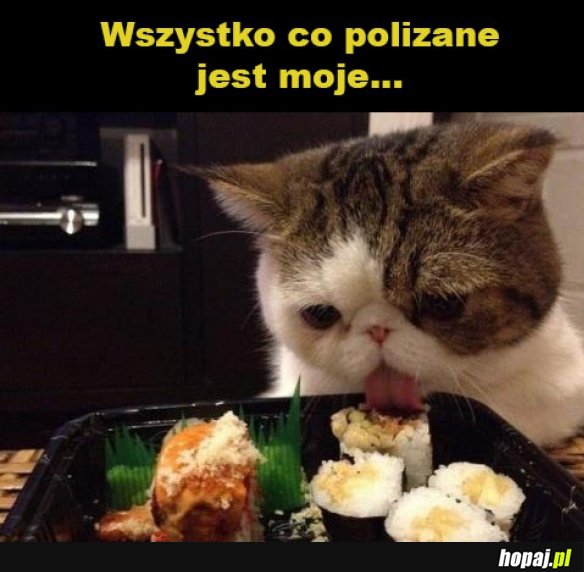 Logika kota