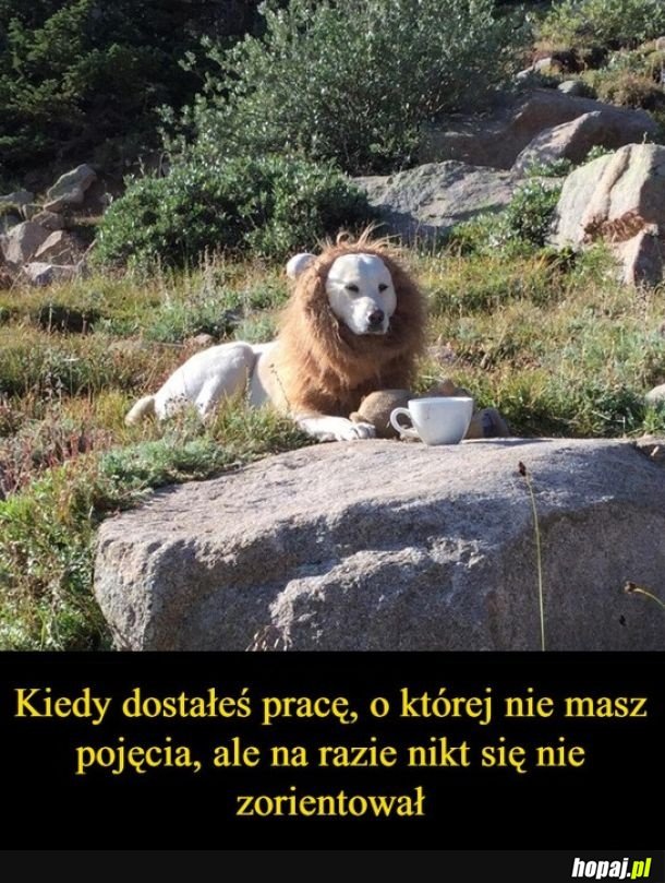 Praca