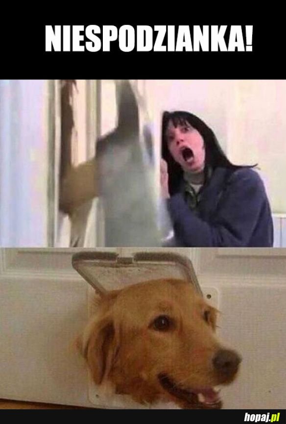 Szok