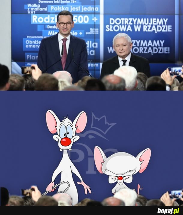 Dziwne podobieństwo