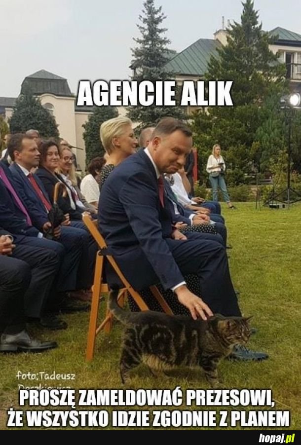 Agent Alik