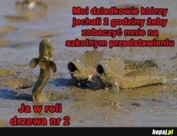 Łooo