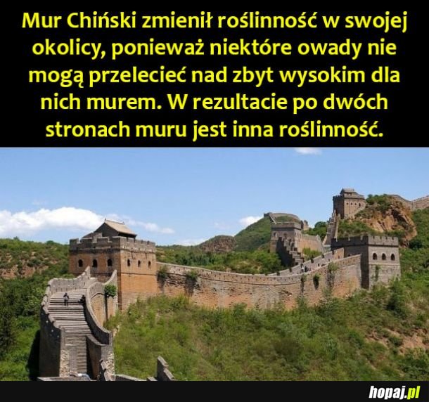 Mur Chiński