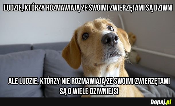 Tak jest xD