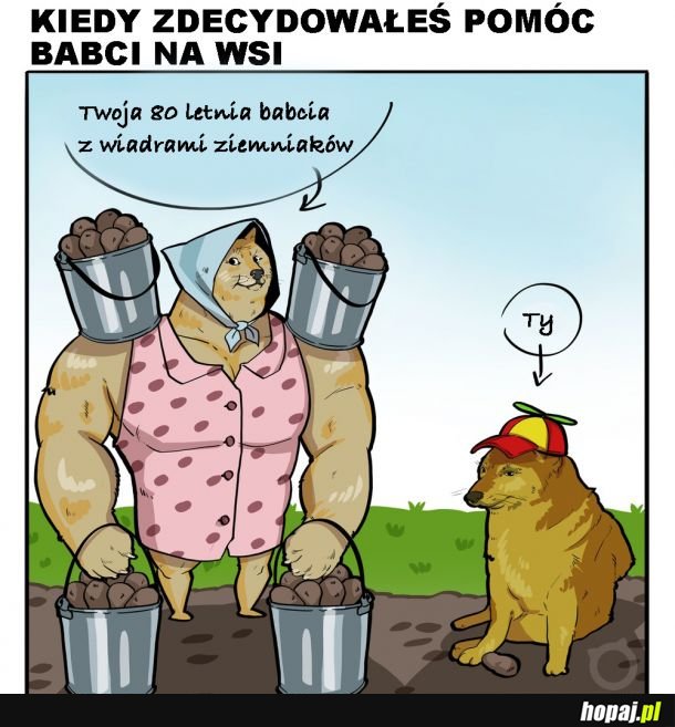 Babcia