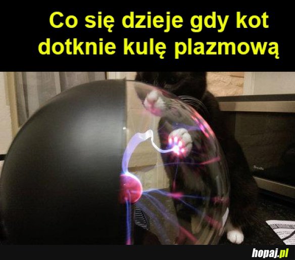 Jest moc