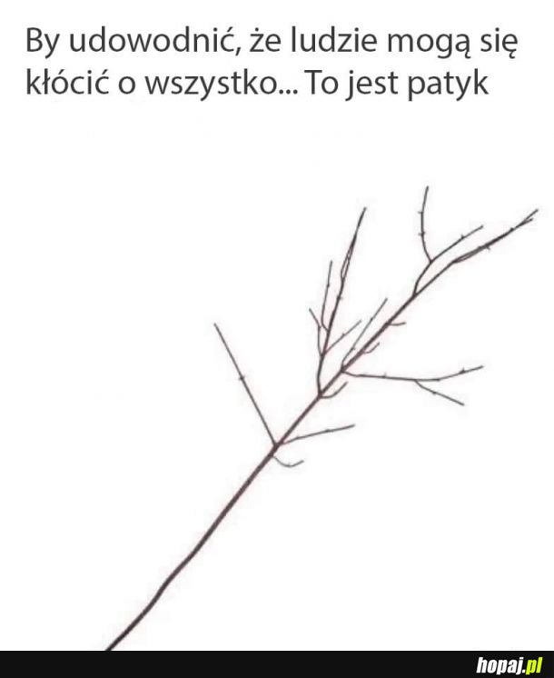 Ludzie mogą pokłócić o wszystko, nawet o tę gałąź