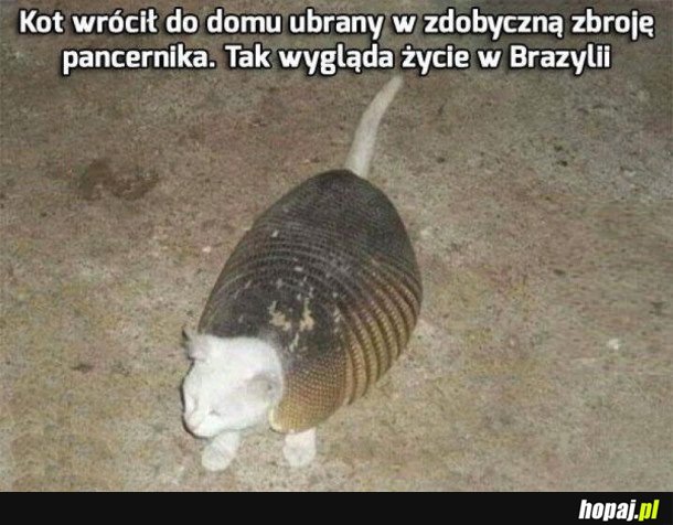 ZJEDZ, BO CIEBIE ZJEDZĄ