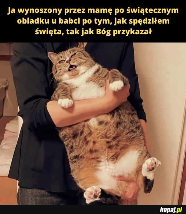 Święta spędzone na obżarstwie.