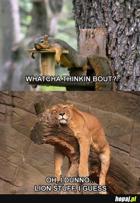 Whatcha thinkin bout?