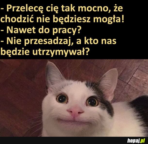 Bez przesady