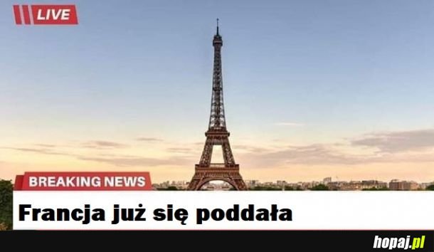 Przezorny zawsze ubezpieczony