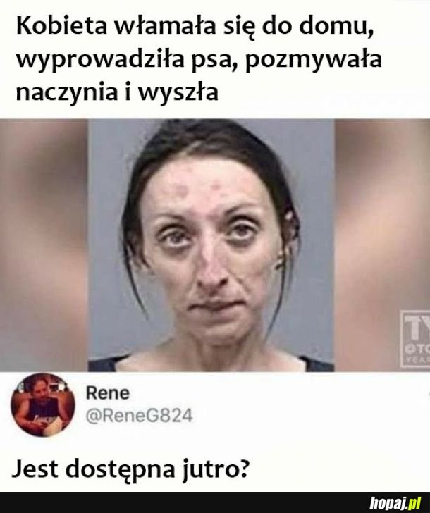 Nietypowa włamywaczka