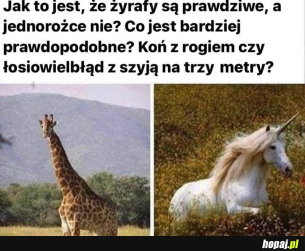 Ehhh z tą naturą