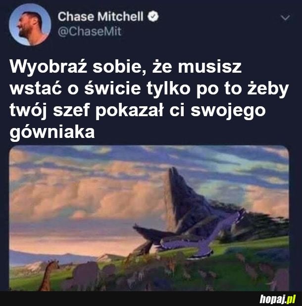  A potem młody może na ciebie polować 