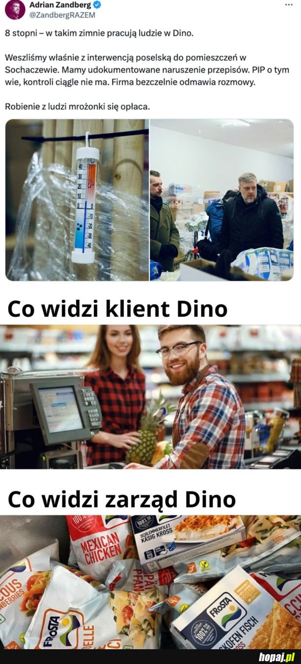 Fajnie w tym Dino
