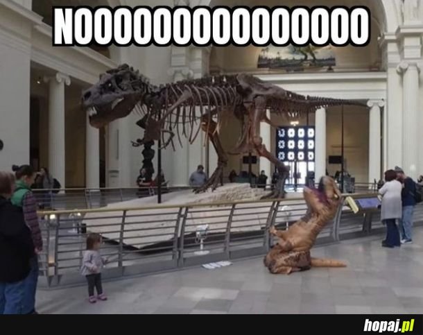 Nooo!