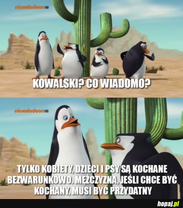 Co wiadomo