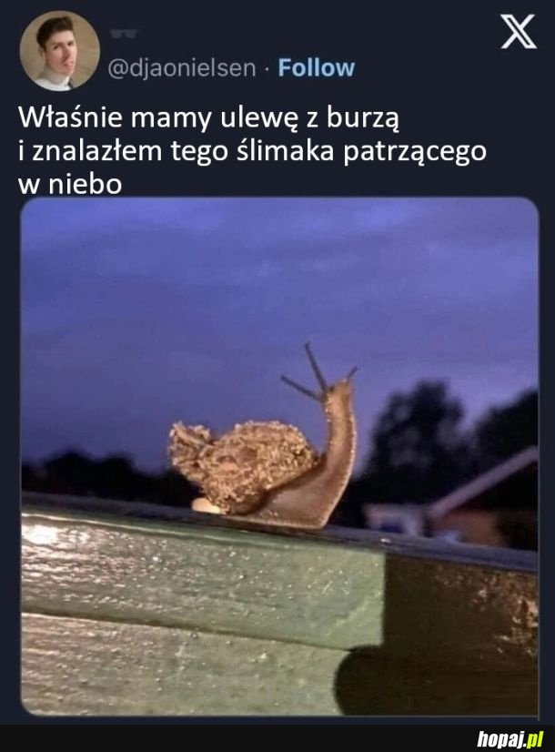 Burza