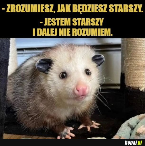 Nie rozumiem