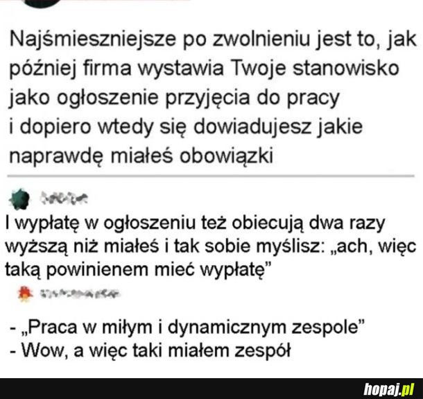 Sporo się można dowiedzieć z takiego ogłoszenia