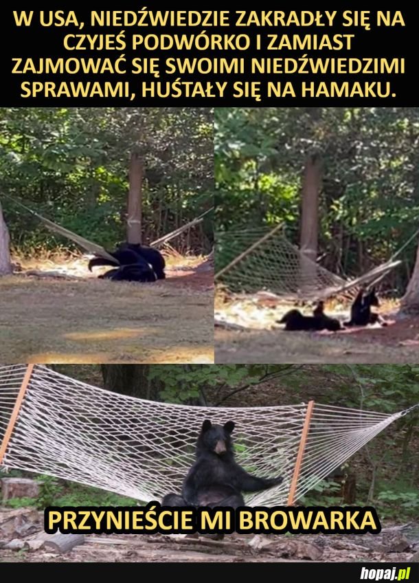 Chill na hamaku