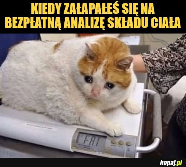 Analiza skłądu ciała. 
