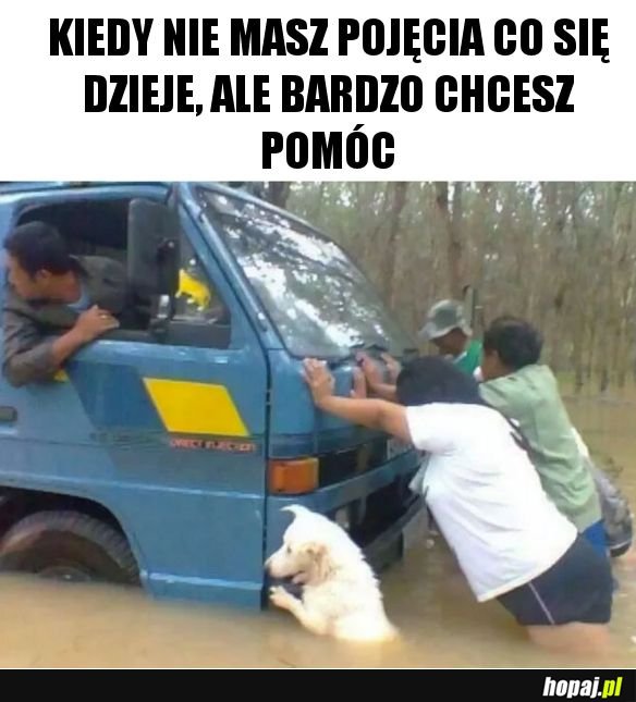 Pomagam jak mogę