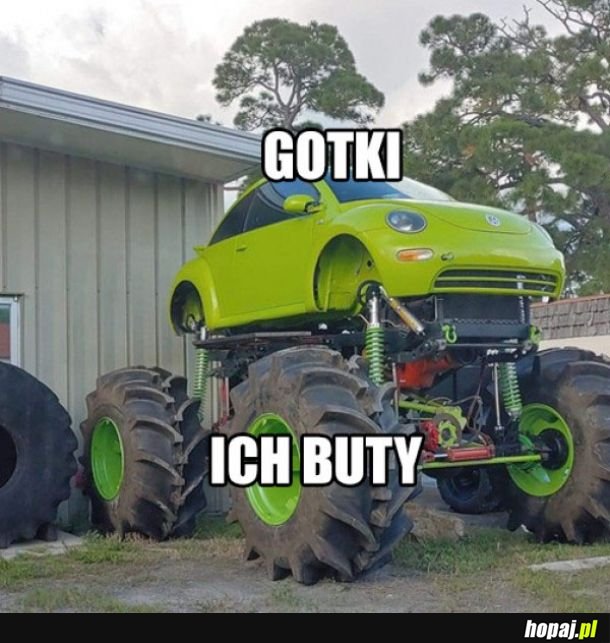Gotki takie są