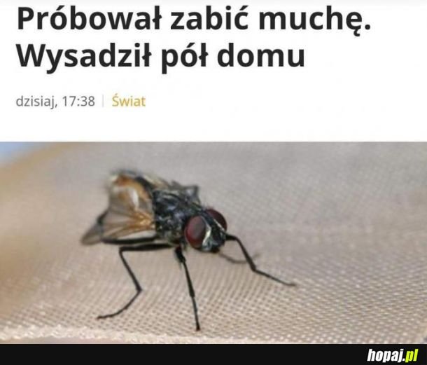 W pełni rozumiem