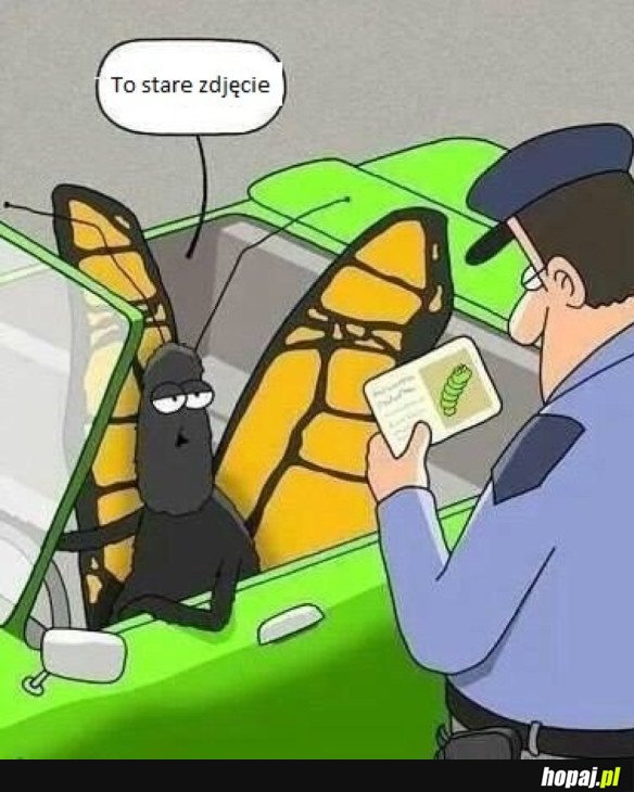 STARE ZDJĘCIE