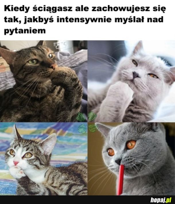 Tak to wygląda 